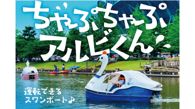 今シーズンはカナール浮橋たもとから乗船！スワンパークにスワンボート「ちゃぷちゃぷアルビくん」登場！